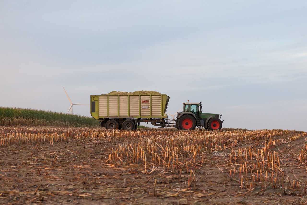 Bild 175 - Maisernte 2016